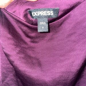 Express Deep Purple Velvet Blouse